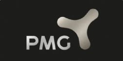 ُPMGُP¹ɷ100%ə