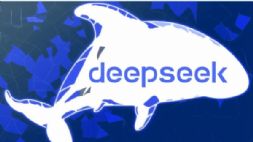܇DeepSeek