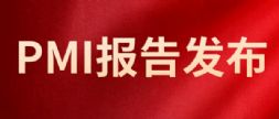 PMI桿ģИIPMI棨20255£