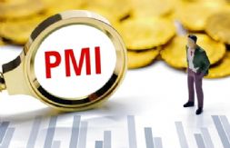 PMI桿ģИIPMI棨20256£