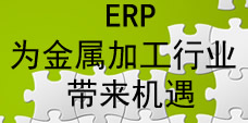 ERPټӹИIC