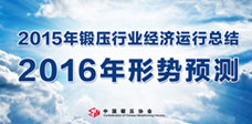 2015呉ИI(y)(jng)(j)\пY(ji)2016΄A(y)y